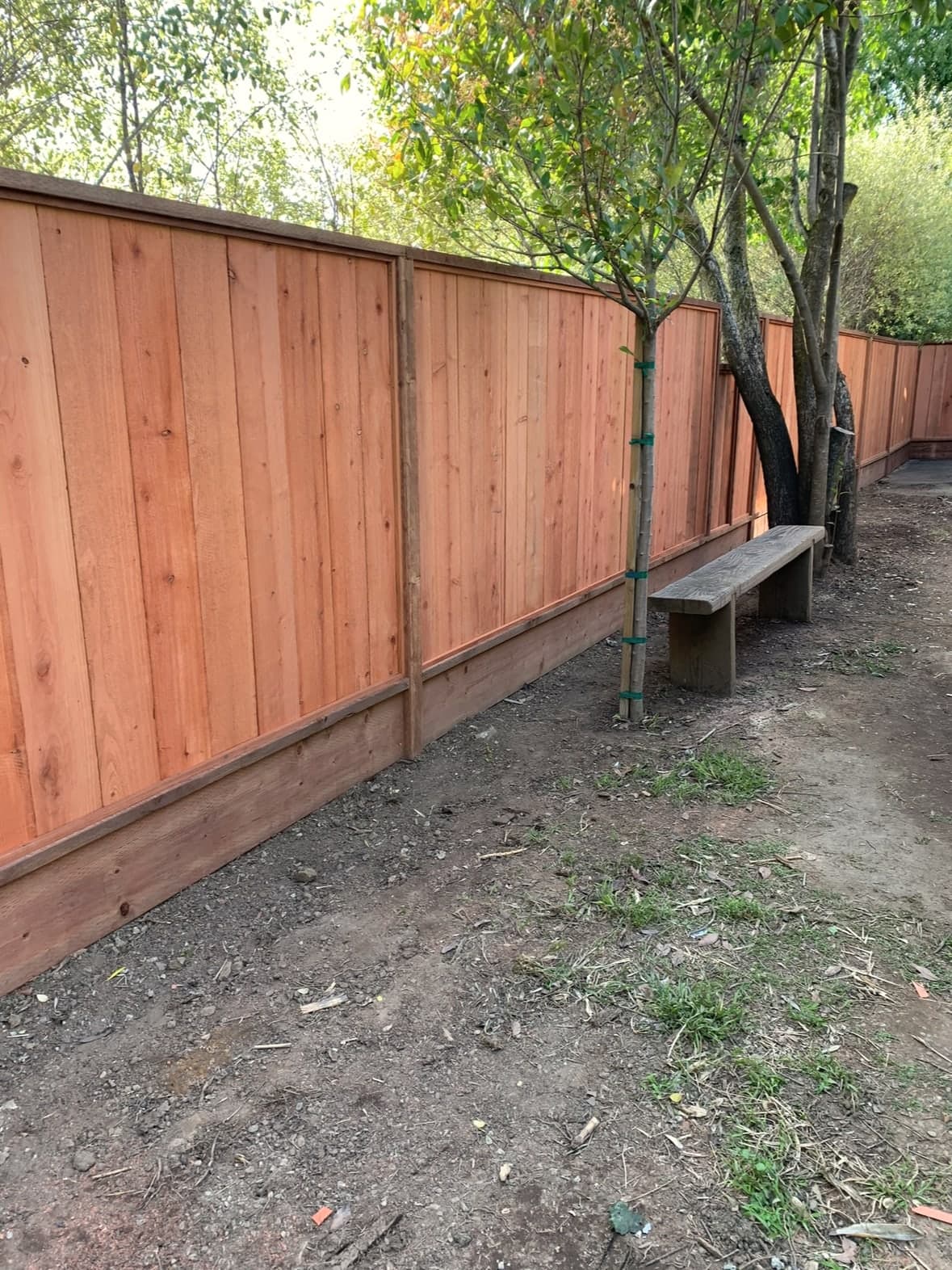 Backyard redwood fence with framed panels near trees.